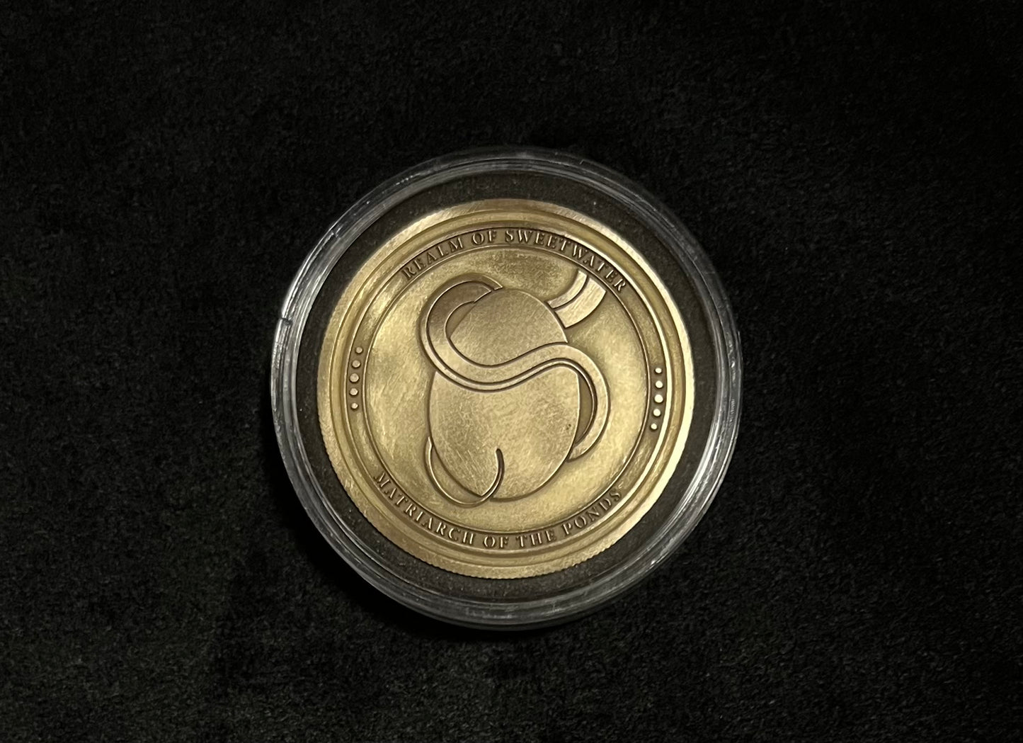 Ayvaire Brass Challenge Coin