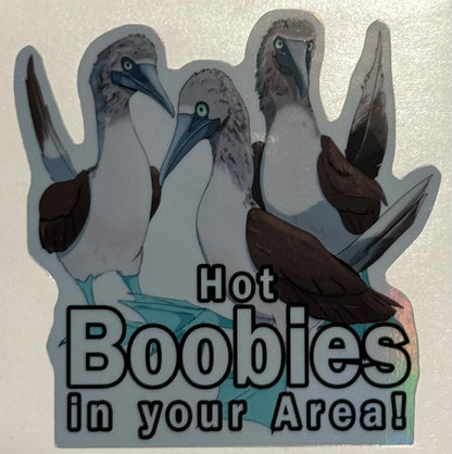 Hot Boobies In Your Area