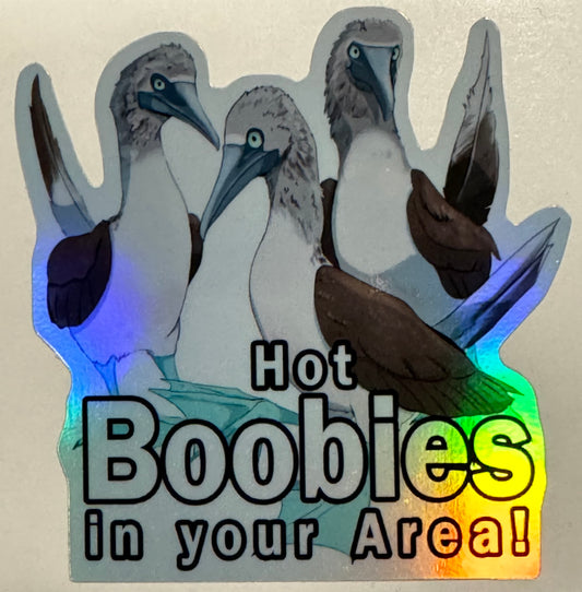 Hot Boobies In Your Area